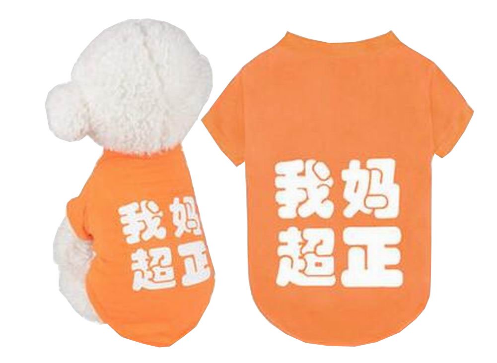 Pet Clothes Small Dog Clothes Fashion Spring Summer Clothes [Orange]
