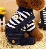 Striped Four Legged Puppies Dressed Spring Summer Clothing [Black]