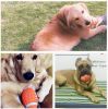 Pet Toys Puppy Toys Just For Fun Squeaky for Puppy Balls [Football-1]