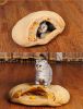 Newly Designed Cat Sleeping Bag Winter Warm Pet Bed[Pink]