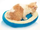 The Puppy Litter Cat Litter Pet Products Washed Pet Beds Blue