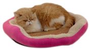 The Puppy Litter Cat Litter Pet Products Washed Pet Beds Pink