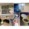 Fixable Pets Double Bowls Dogs Cats Bowls Pet Supplies Cat Accessories -Blue