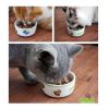 One Little Ceramic Feeding Pot/Pet Bowl/Dog Bowl/Cat Bowl For Food & Water 10x4.5CM (C#11)