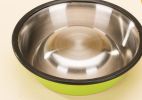 Dog Bowl Pet Supplies Cat Bowl Stainless Steel Dog Bowls Cat Food Bowls Green