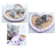 Summer Pet Beds, Ideal Pet Bed for Dogs & Cats within 22 Pounds #01