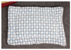 Winter Pet Mat Warm Dog Mat Cat Mat Kennel Mat [C]