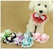 Pet Necklace Pet Cat And Dog Bell Bow Tie Accessories [Bell-12]