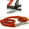 Durable Dog Collar Leash Strap Training Big Pet Leash Rope For Puppy Pet, Brown