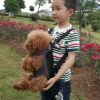 Outdoor Dog Carrier Pet Carriers Backpack Pet Bag Cat Travel Bag, Red