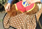 Super Soft Warm Washable Dog Cat Pet Bed Blanket-Light Brown Dots