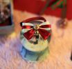 Pet Accessories Bow - Cats and Dogs Tie Bells-Red