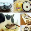 6.5-Inch Lovely Cartoon Ellipse Ceramic Cat Food Bowl,Pet Bowl (16.5*3.5cm)