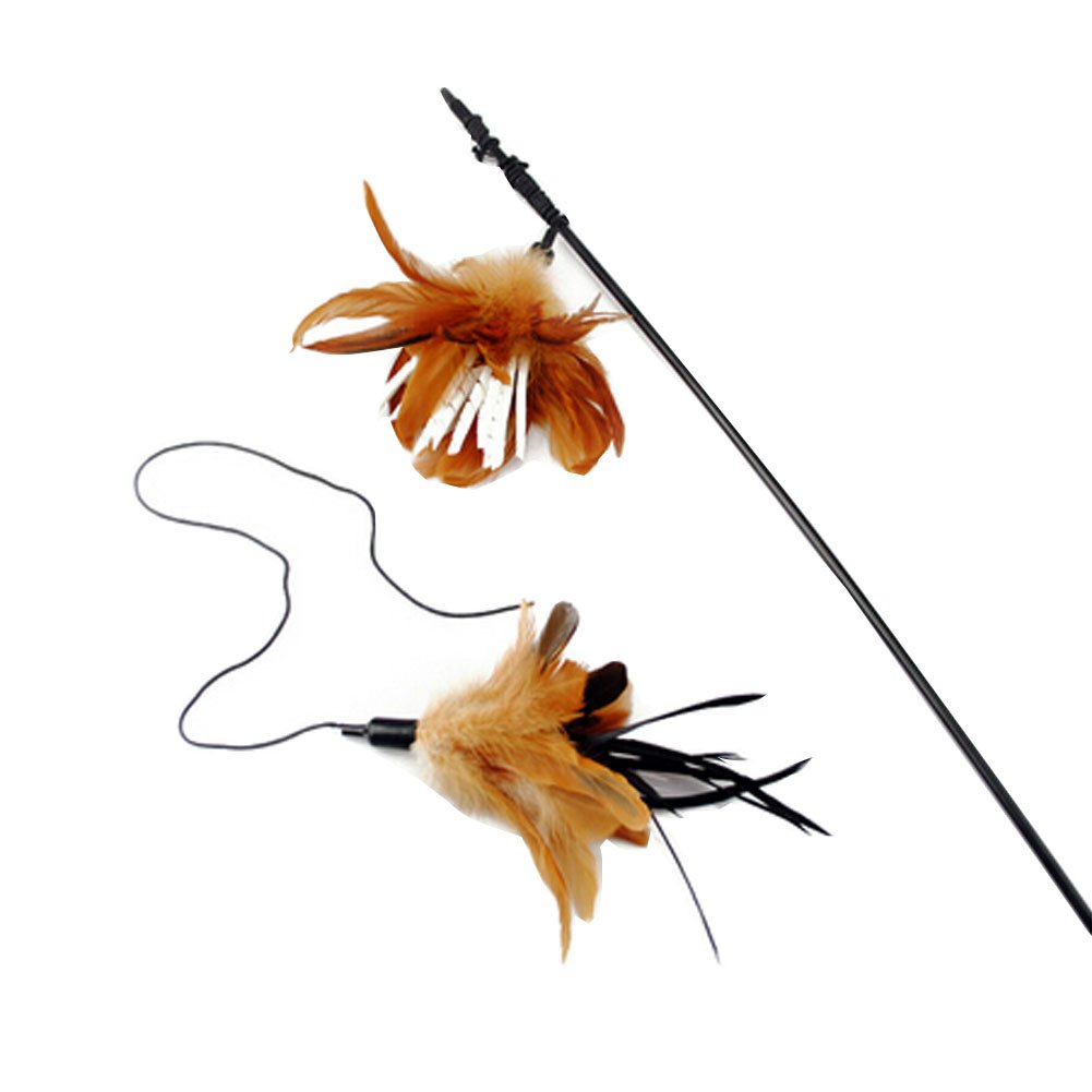 Interactive Educational Toy for Pet--Feathers Cat Toy/Bird Rod [No.03]