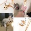 Interactive Educational Toy for Pet -- Natural Wooden Cat Toy [Mouselet]