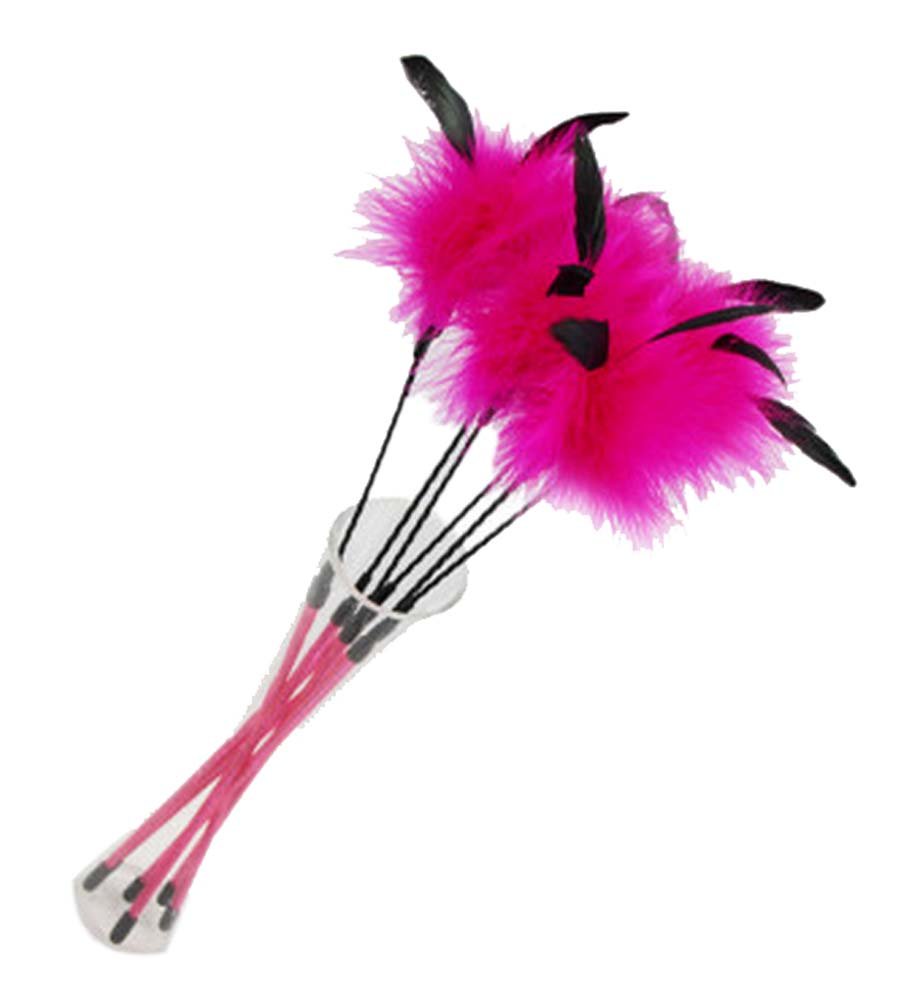 Interactive Educational Toy lovely Cat Toys, G