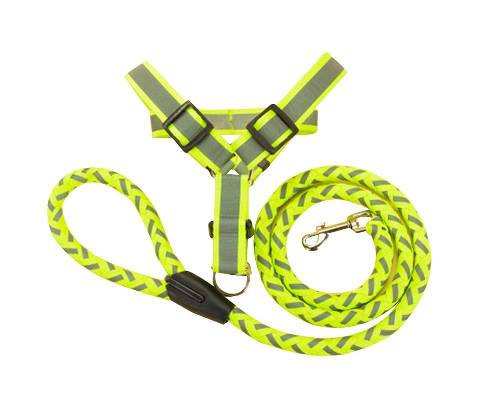 Large Size,Pet Leash/Pet Products Strong Durable,Noctilucence