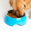 Pet Bowl / Dog bowl with Stainless Steel Eating Surface Apple Green, Large