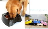Pet Bowl Dogs/Cats Bowl with Stainless Steel Eating Surface Blue, Medium