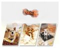 Set of 2 Creative Dog Durable Clean Teeth Chew Toy With Sound,Tiger