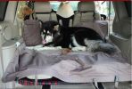 Waterproof Bench Seat Cover for Pets PURPLE - One Size Fits All 57"Wx55"L