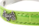 Adjustable Rhinestone Studded Color Collar for Dogs (Size:W1.4cm, L37cm)