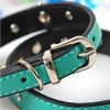 Fashionable Skull Rhinestone Decorated Adjustable Collar (Fit 26~32cm neck)