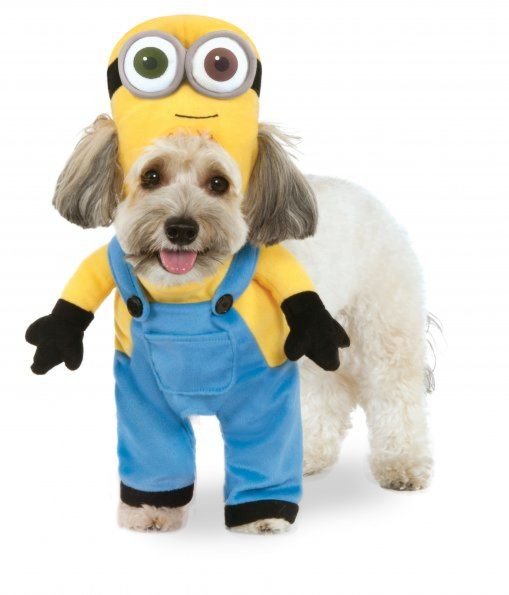 Minion Bob Arms Costume Pet Movie Costume Small
