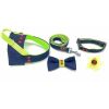 Navy denim & Neon dog bow tie with red studs