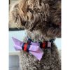 Kitsune shiny pink bow tie
