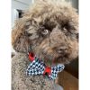 Xolotl pied de poule bow tie