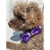 Fenrir purple leopard bow tie