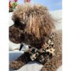Anubis leopard dog bow tie