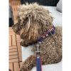 Frayed denim & red dog leash with bronze studs