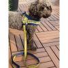 Mustard honeycomb frayed denim dog leash