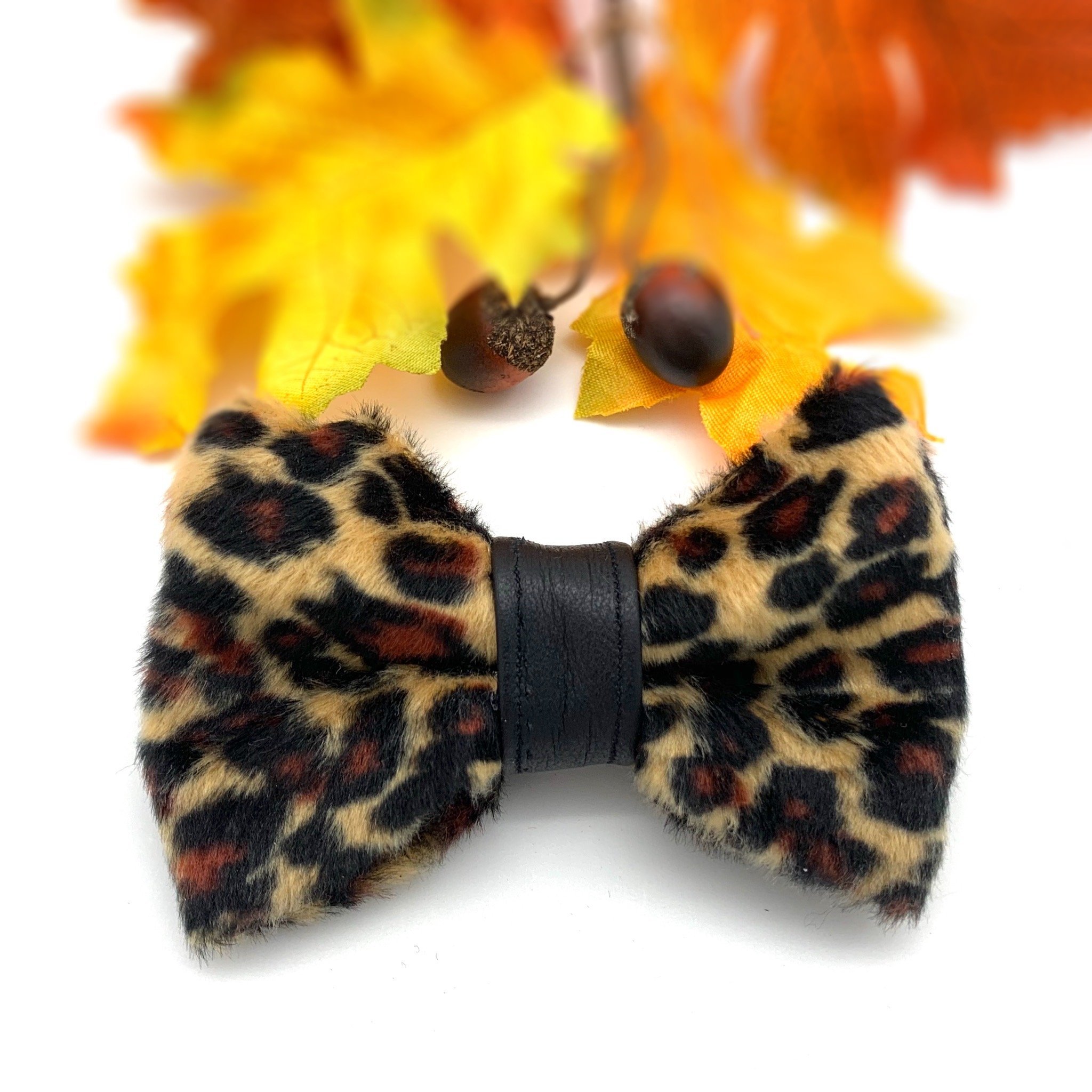 Leopard dog bow tie with leather accent