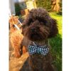 Kerberos pied de poule dog bow tie