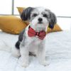 Red leather & navy denim designer dog collar & bow tie