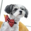 Red leather & navy denim designer dog collar & bow tie