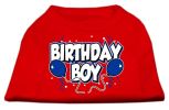 Birthday Boy Screen Print Shirts Red Medium (12)