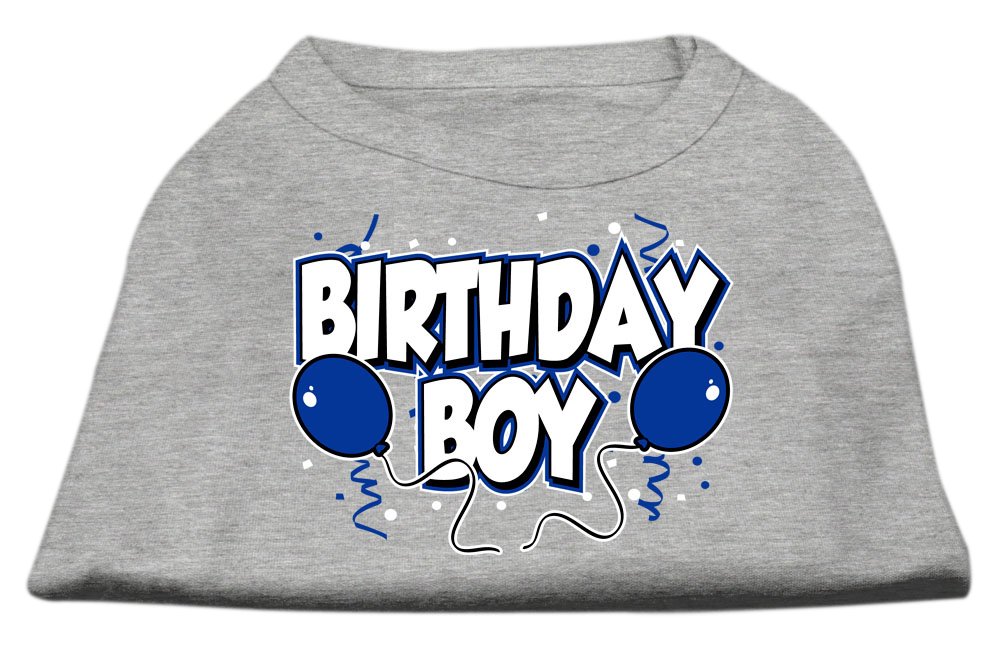 Birthday Boy Screen Print Shirts Grey Small (10)