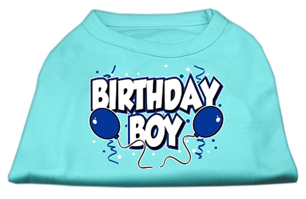 Birthday Boy Screen Print Shirts Aqua XXX Large (20)