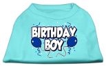 Birthday Boy Screen Print Shirts Aqua XXX Large (20)