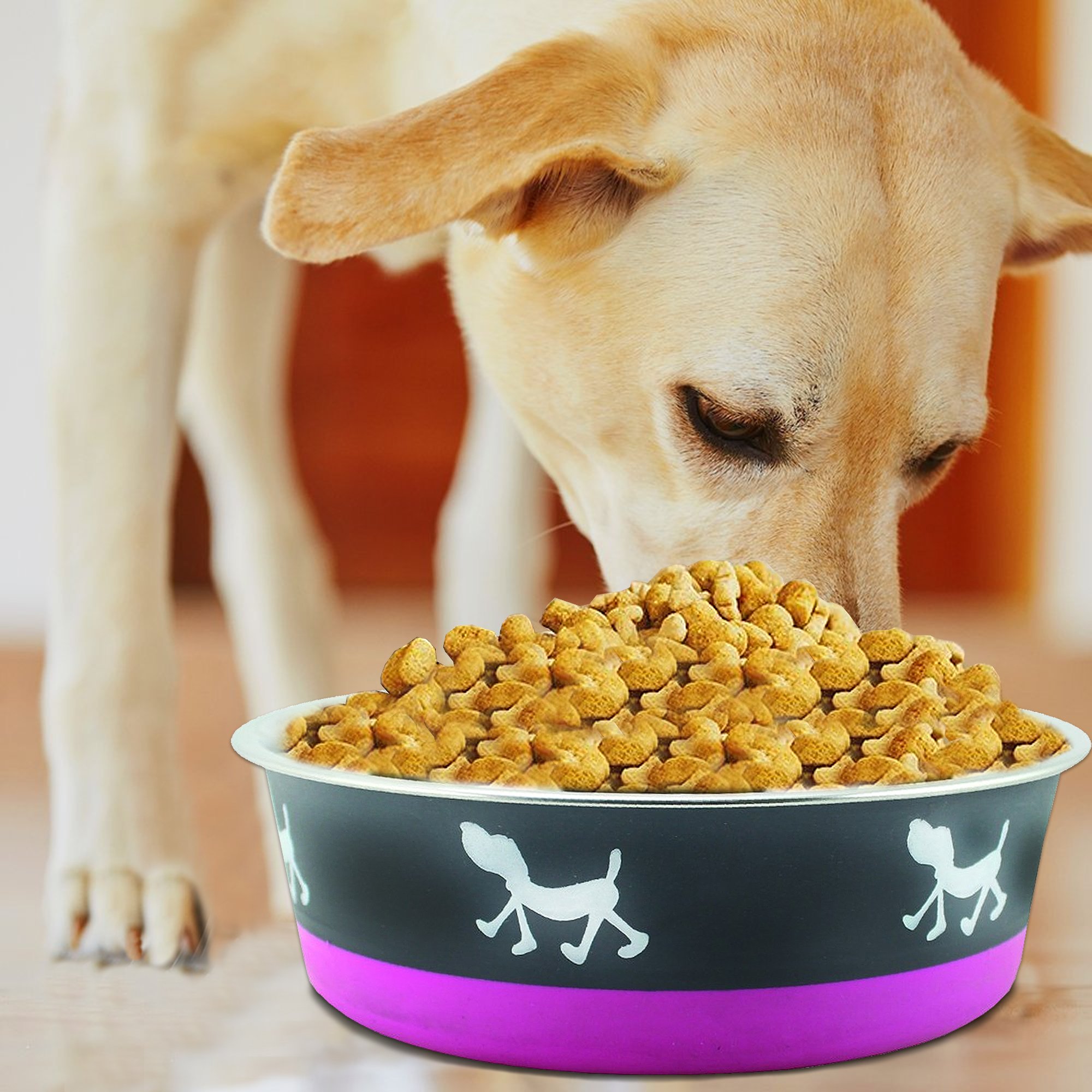 Stainless Steel Pet Bowl with Anti Skid Rubber Base and Dog Design, Large, Gray and Pink-Set of 12