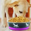 Stainless Steel Pet Bowl with Anti Skid Rubber Base and Dog Design, Large, Gray and Pink-Set of 12
