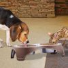 Plastic Framed Double Diner Pet Bowl in Stainless Steel, Large, Gold and Silver-Set of 6