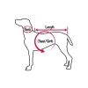 Skull Crossbone Screen Print Shirt Bright Pink Lg (14)