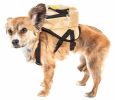Pet Life  'Teddy Tails' Dual-Pocketed Compartmental Animated Dog Harness Backpack