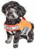 Dog Helios  'Tidal Guard' Multi-Point Strategically-Stitched Reflective Pet Dog Life Jacket Vest