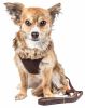 Pet Life  Luxe 'Furracious' 2-In-1 Mesh Reversed Adjustable Dog Harness-Leash W/ Removable Fur Collar